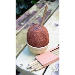 Bamboo Straws set/6 + brush