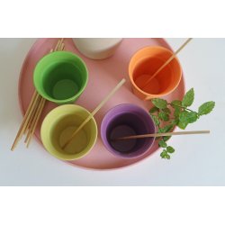 Wheat Straws, compostable set/60