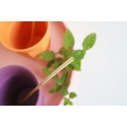 Wheat Straws, compostable set/60